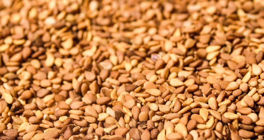 RED SESAME