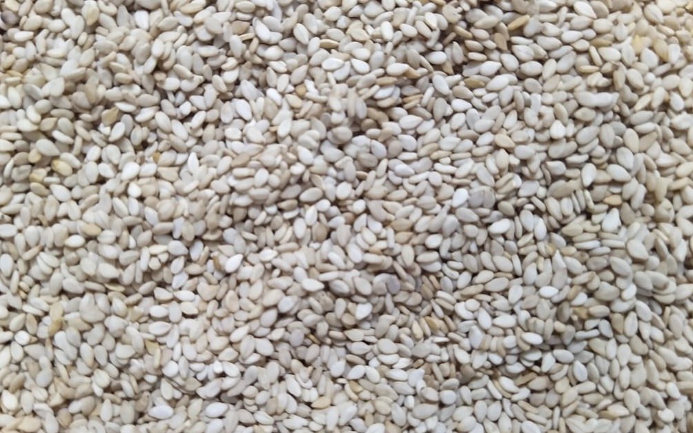SESAME COMMERCIAL